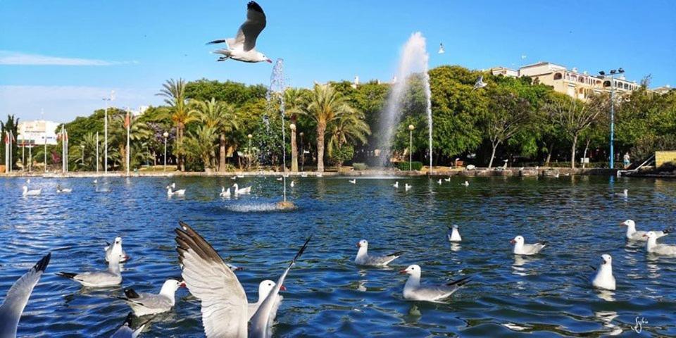 Torrevieja Experience Mar 2 Διαμέρισμα Εξωτερικό φωτογραφία